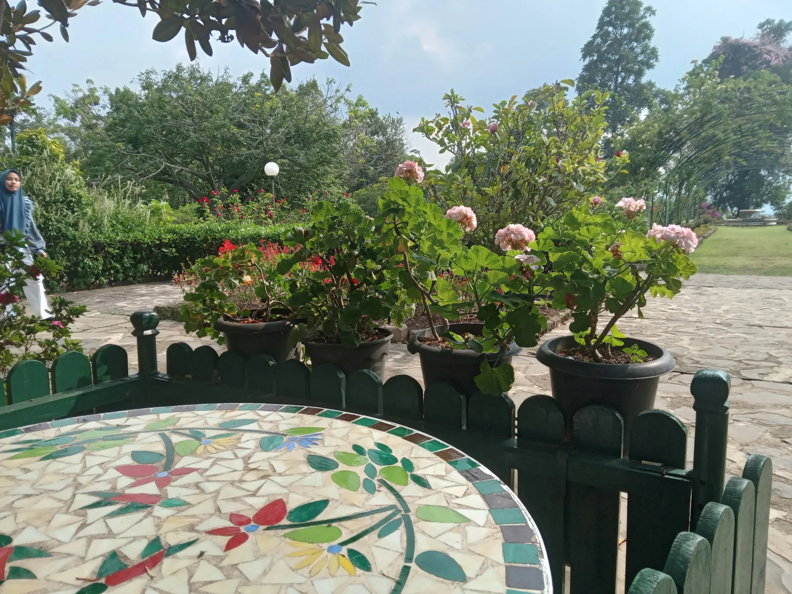 Kebun Mawar Situhapa Garut: Menikmati Bunga Warna-Warni dan Lanskap Hijau