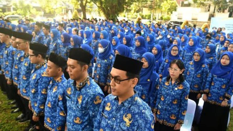 Potret Pegawai Negeri Sipil (Dok. Ist)