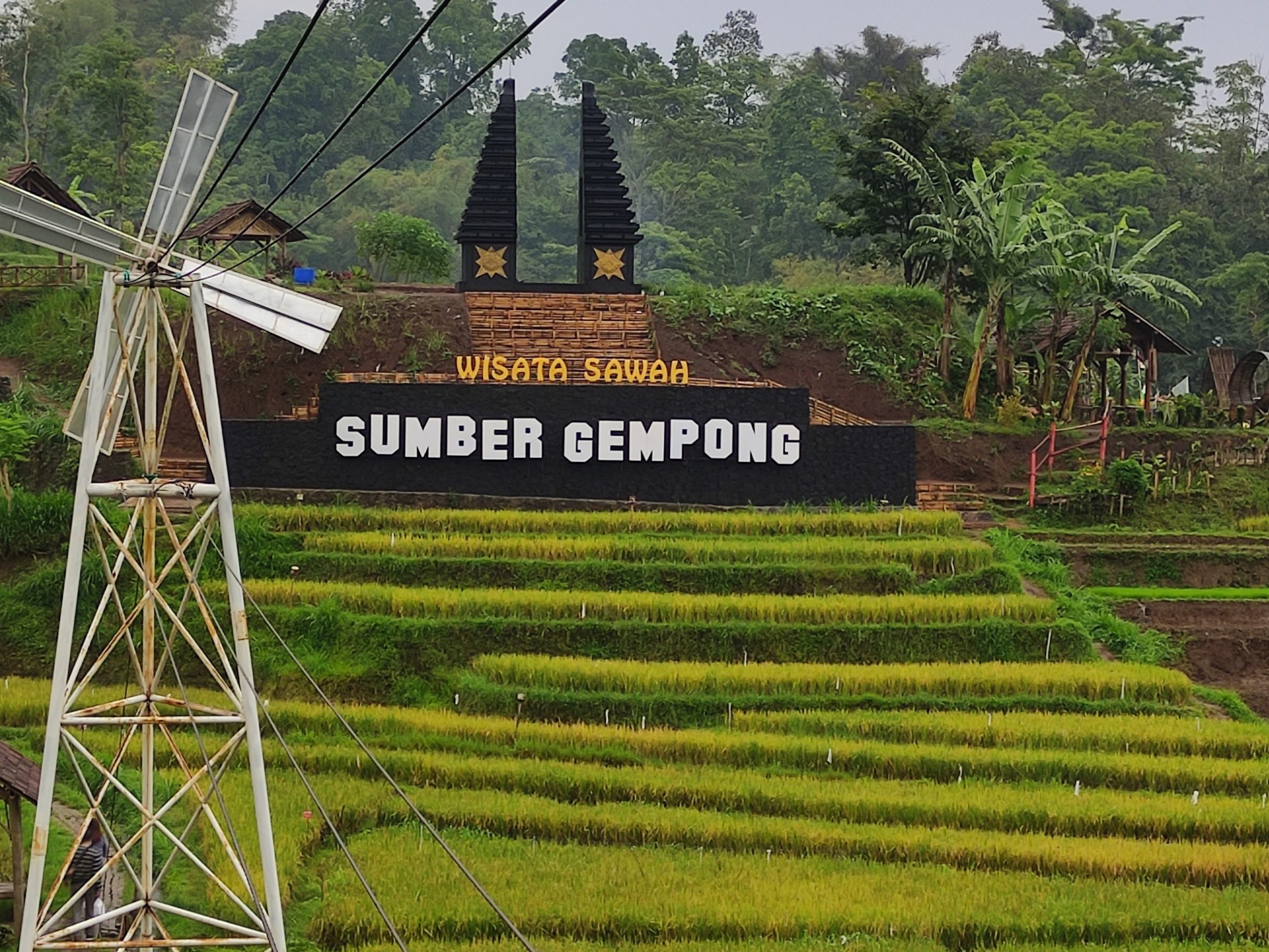 Harga Tiket Cuman Rp10 Ribu, Wisata Sawah Sumber Gempong Menawarkan Pedesaan yang Autentik