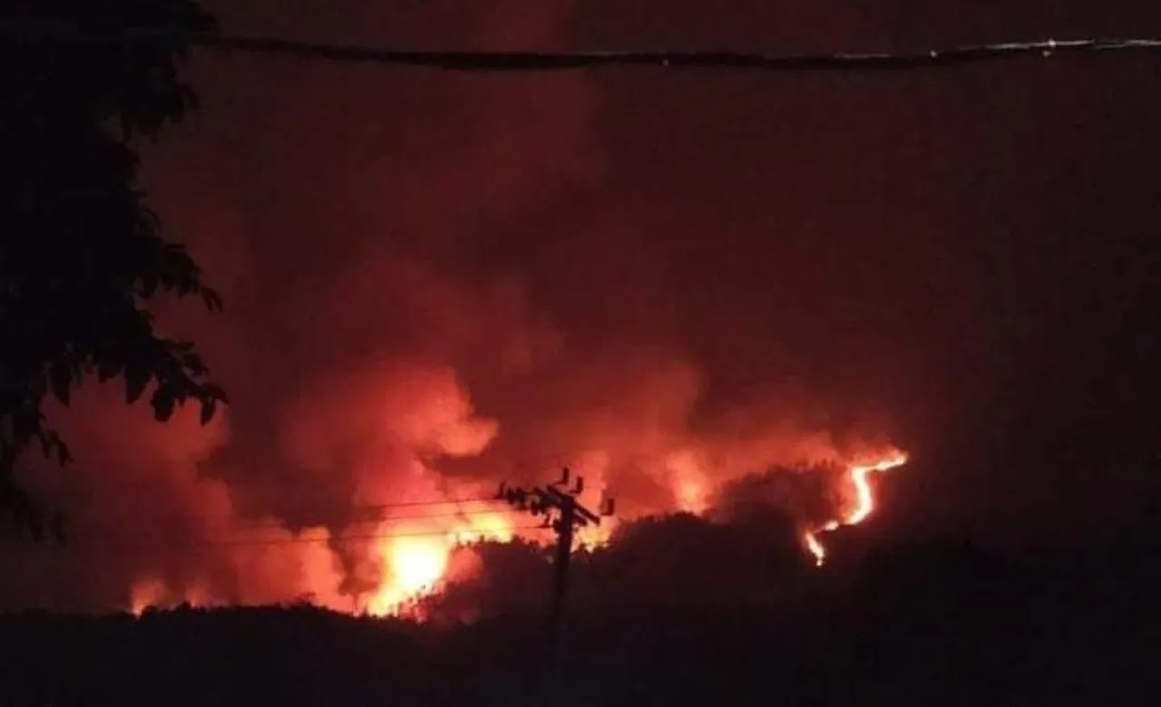 Kebakaran Hutan di Lereng Gunung Lawu Berhasil Dipadamkan