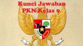 Kunci Jawaban PKN Kelas 9 Halaman 29 (Dok. Ist)