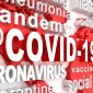 Analisis Perubahan Standar Nomenklatur di Masa Pandemi Covid-19
