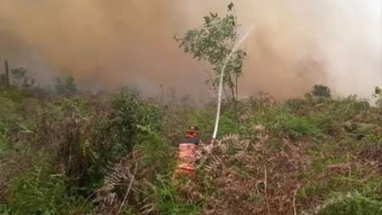 Berhasil Padamkan Kebakaran Lahan di Kuala Cenaku, Petugas Tetap Waspada