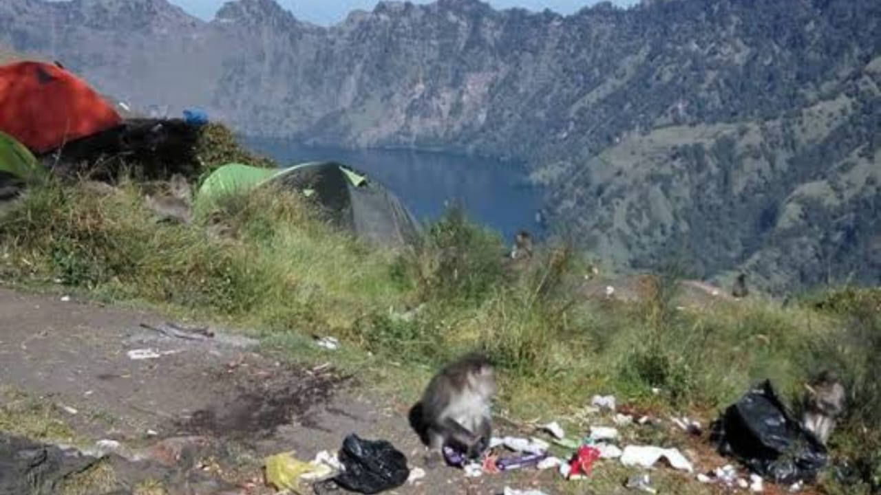 Mengurangi Sampah di Jalur Pendakian: Upaya Bersama Geopark Rinjani Lombok dan TNGR