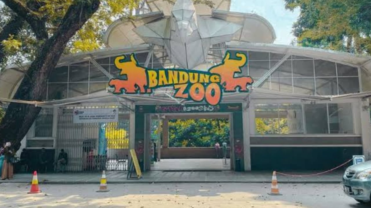 Wisata Edukatif dan Seru di Kebun Binatang Bandung untuk Keluarga dan Anak-Anak