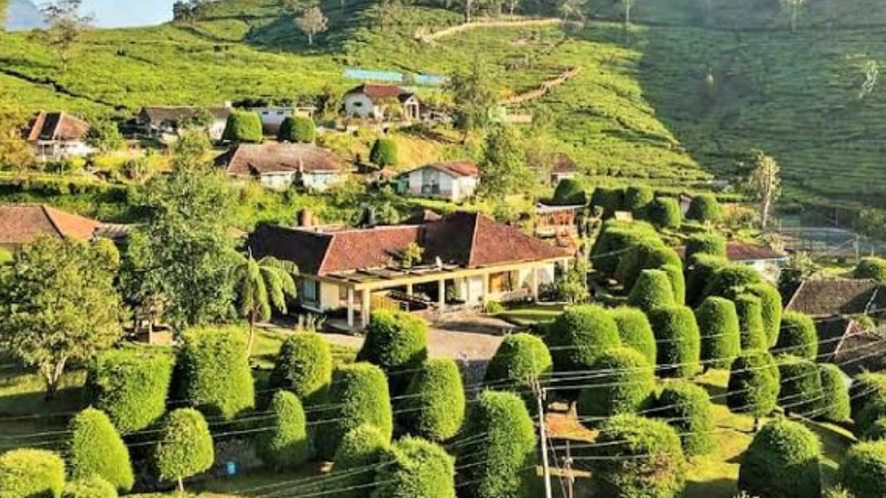 Bukit Jamur: Destinasi Unik di Ciwidey, Bandung yang Menawarkan Pesona Alam yang Berbeda