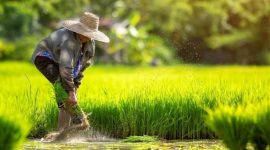 Analisis Konflik Agraria di Indonesia yang Beririsan dengan HAM: Solusi dan Upaya Penyelesaian
