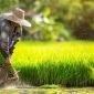 Analisis Konflik Agraria di Indonesia yang Beririsan dengan HAM: Solusi dan Upaya Penyelesaian
