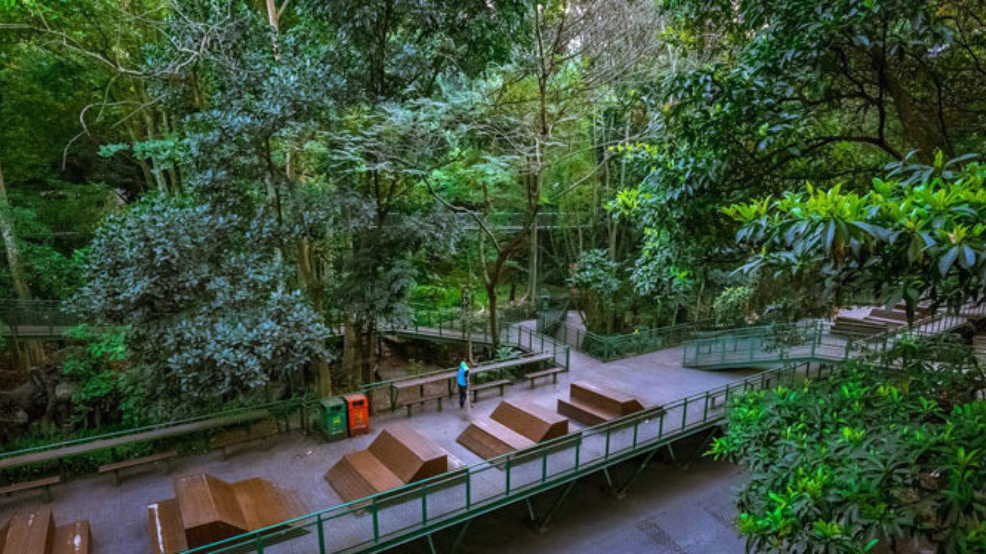 Babakan Siliwangi: Hutan Kota di Bandung yang Bikin Liburan Makin Bermakna