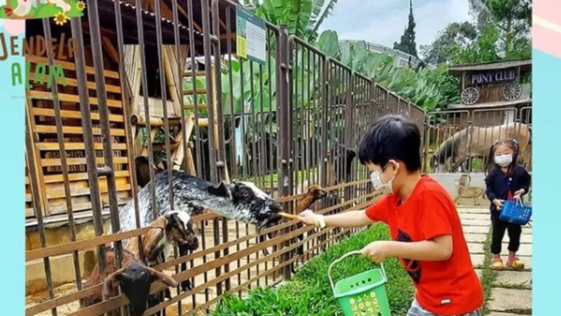 Jendela Alam Bandung.Doc.lst