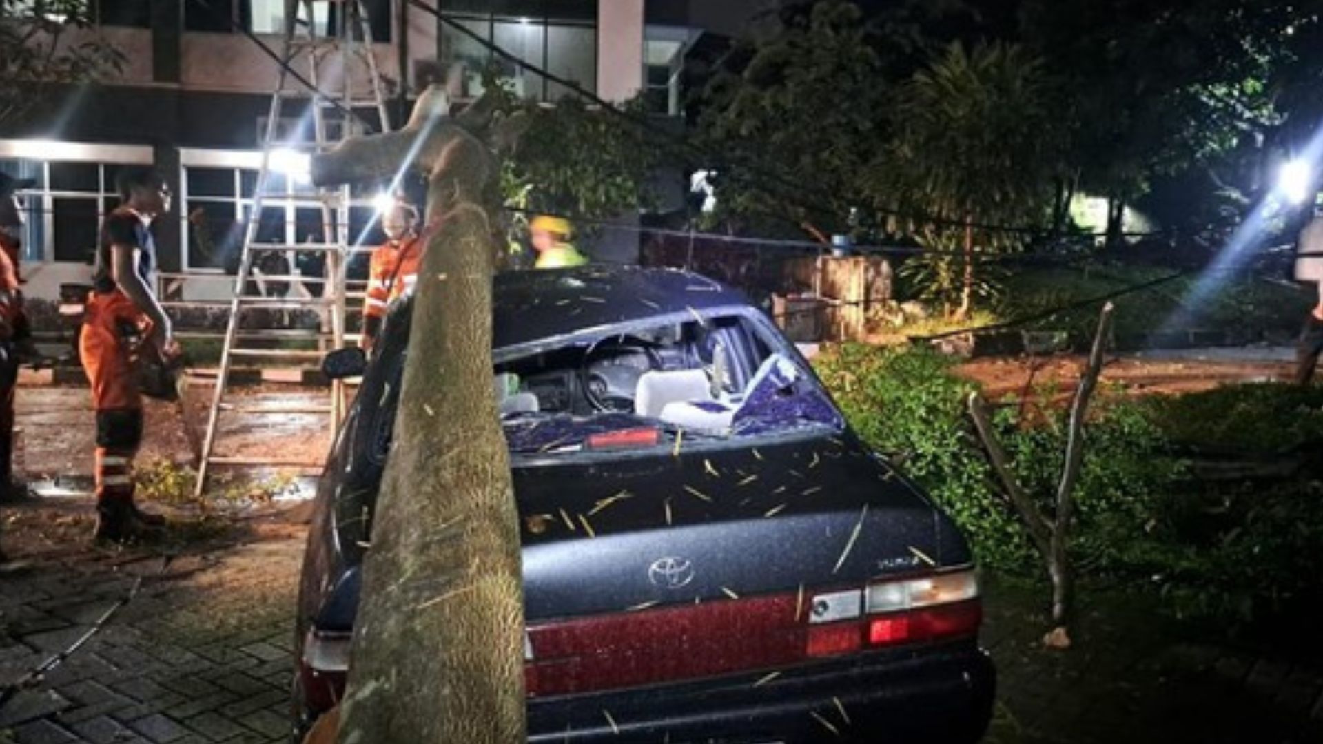 Diterpa Angin Kencang, Pohon Kelor Ambruk hingga Timpa Mobil