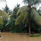 Banjir di Jember (Dok. Ist)