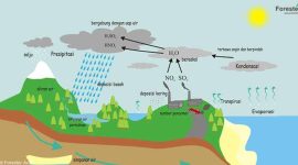 Proses Terjadinya Siklus Air pada Hidrosfer