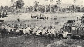 Bagaimana Dampak The Great Depression Terhadap Hindia Belanda?