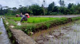 Mengapa Masyarakat Senantiasi Mengalami Perubahan Sosial Budaya?
