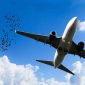 Bahaya Bird Strike (Dok. Ist)