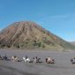 Ritual Wulan Kapitu Tengger (Dok. Ist)