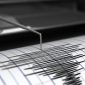 Gempa M 3,3 Guncang Gresik (Dok. Ist)