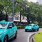Xanh SM Hadir di Jakarta (Dok. Ist)