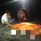 Penemuan jenazah di Lombok 
(Dok. Ist)