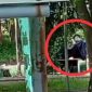 Potret sejoli mesum di taman Merjosari Malang
(Dok. Ist)