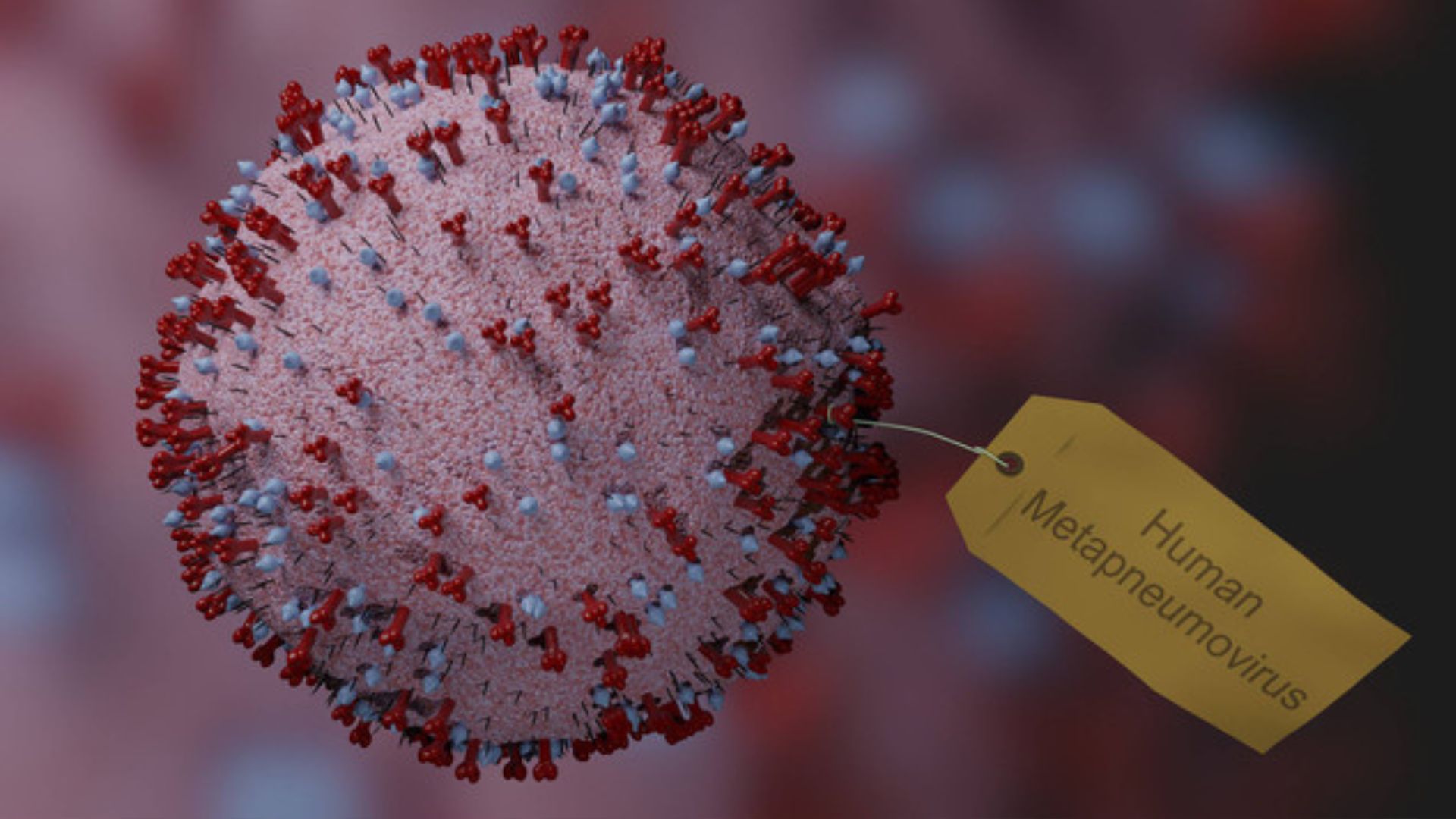 Jadi Bahan Perbincangan Hangat, Kemenkes RI Ungkap Virus HMPV Sudah Mulai Merebak