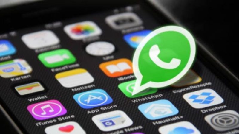 Aplikasi WhatsApp (Dok. Ist)
