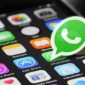 Aplikasi WhatsApp (Dok. Ist)