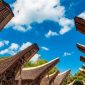 Wisata Toraja (Dok. Ist)