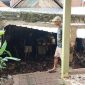 Banjir bandang di Tuban (Dok. Ist)