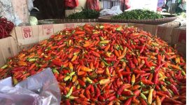 Cabai merah yang harganya melambung tinggi (Dok. Ist)