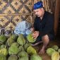 Wisata kebun durian (Dok. Ist)