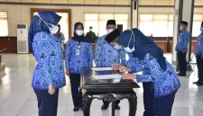 Apakah PPPK Paruh Waktu Dapat THR di Tahun 2026