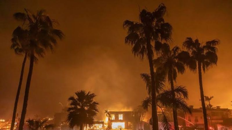 Karhutla di Los Angeles (Dok. Ist)