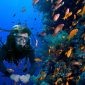 Snorkeling di Raja Ampat (Dok. Ist)