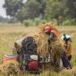 Harga Beras (Dok. Ist)