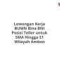 Lowongan Kerja BUMN Bina BNI Posisi Teller untuk SMA Hingga S1 Wilayah Ambon