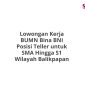 Lowongan Kerja BUMN Bina BNI Posisi Teller untuk SMA Hingga S1 Wilayah Balikpapan