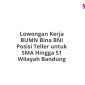 Lowongan Kerja BUMN Bina BNI Posisi Teller untuk SMA Hingga S1 Wilayah Bandung