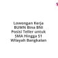 Lowongan Kerja BUMN Bina BNI Posisi Teller untuk SMA Hingga S1 Wilayah Bangkalan