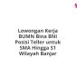 Lowongan Kerja BUMN Bina BNI Posisi Teller untuk SMA Hingga S1 Wilayah Banjar