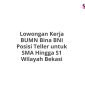 Lowongan Kerja BUMN Bina BNI Posisi Teller untuk SMA Hingga S1 Wilayah Bekasi
