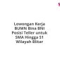 Lowongan Kerja BUMN Bina BNI Posisi Teller untuk SMA Hingga S1 Wilayah Blitar