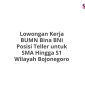 Lowongan Kerja BUMN Bina BNI Posisi Teller untuk SMA Hingga S1 Wilayah Bojonegoro