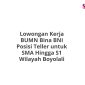 Lowongan Kerja BUMN Bina BNI Posisi Teller untuk SMA Hingga S1 Wilayah Boyolali