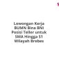 Lowongan Kerja BUMN Bina BNI Posisi Teller untuk SMA Hingga S1 Wilayah Brebes