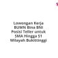Lowongan Kerja BUMN Bina BNI Posisi Teller untuk SMA Hingga S1 Wilayah Bukittinggi
