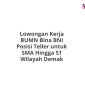 Lowongan Kerja BUMN Bina BNI Posisi Teller untuk SMA Hingga S1 Wilayah Demak