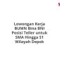 Lowongan Kerja BUMN Bina BNI Posisi Teller untuk SMA Hingga S1 Wilayah Depok