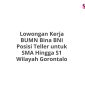 Lowongan Kerja BUMN Bina BNI Posisi Teller untuk SMA Hingga S1 Wilayah Gorontalo